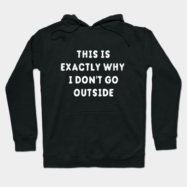 This Is Exactly Why I Don't Go Outside T-Shirt Hoodie by dumbshirts